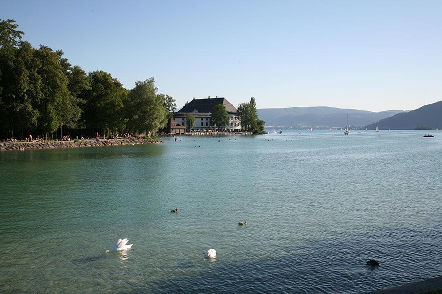 Ducks and swans glide across a lake in the Salzkammergut beneath clear blue skies